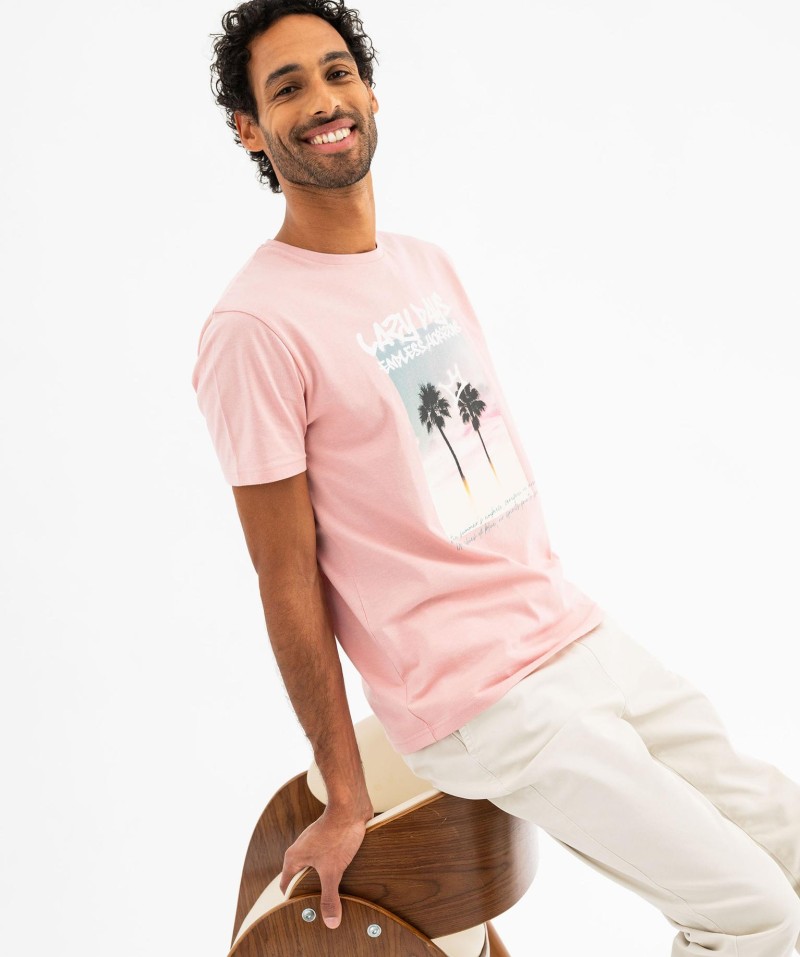 16WALAI rose